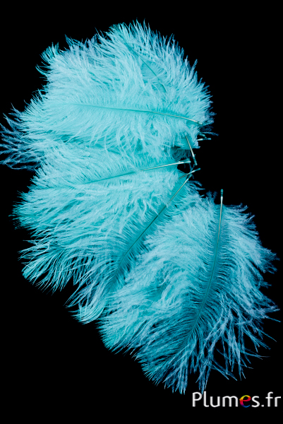 Autruche Bellies - 8-13 cm - vert d´eau